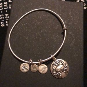 Alex and ani bracelets cancer